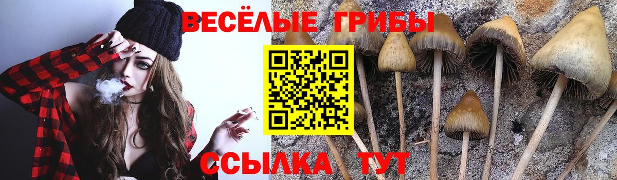 Галлюциногенные грибы прущие грибы  дарнет шоп  Ишим  Галлюциногенные грибы мухоморы  Вход с VPN 